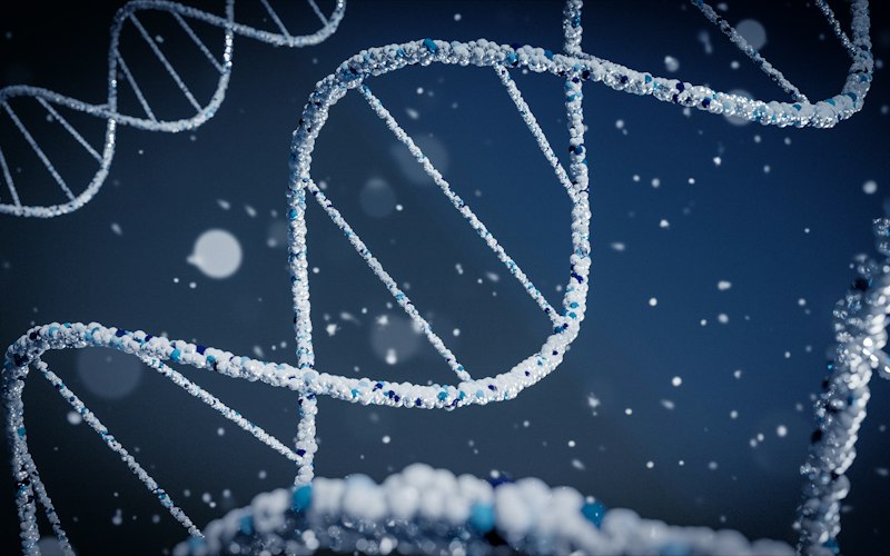 Bioinformatics
